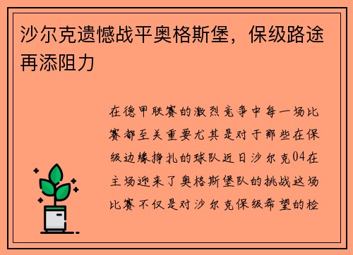 沙尔克遗憾战平奥格斯堡，保级路途再添阻力